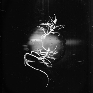 Sambung - Pamungkas ft. Dipha Barus